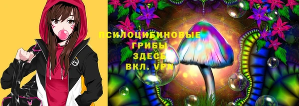 мескалин Арсеньев